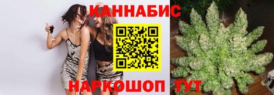 стафф Бийск
