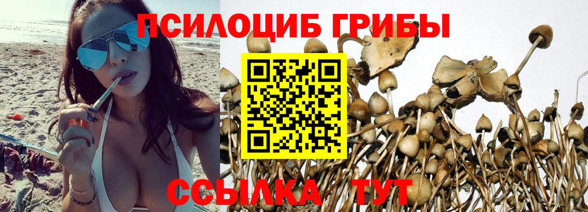 Галлюциногенные грибы прущие грибы Дубна